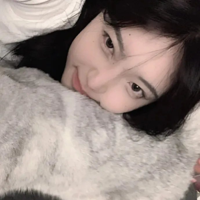 明月守护者