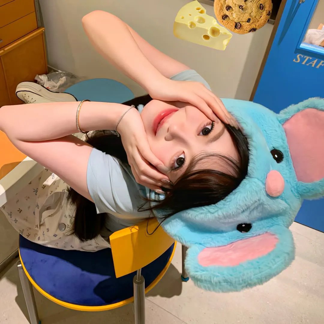 瓷缘