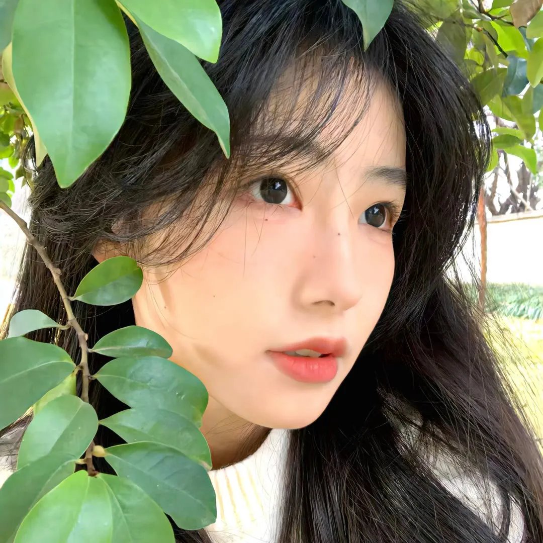 爱恋甜甜圈